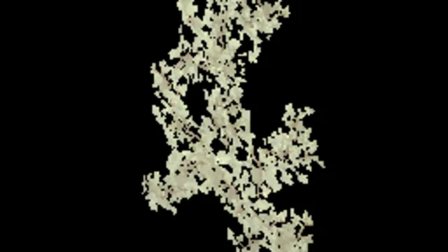 creeping_plant_b