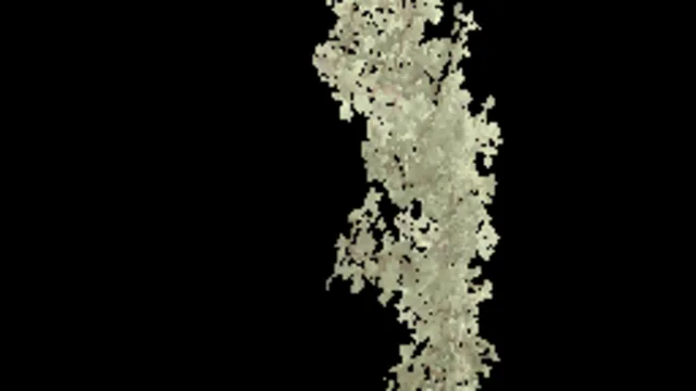 creeping_plant_corner_b
