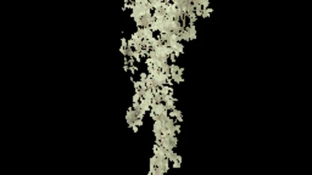 creeping_plant_fall_a