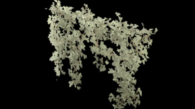creeping_plant_wall_600