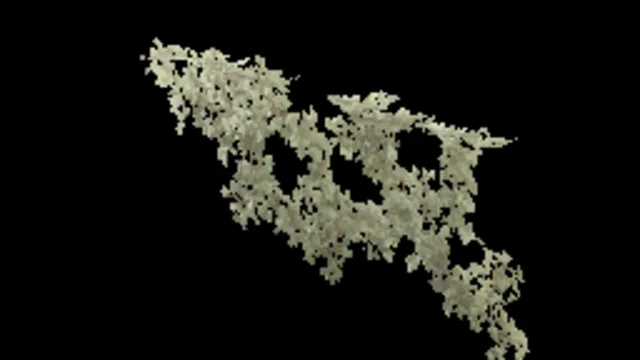 creeping_plant_wall_900
