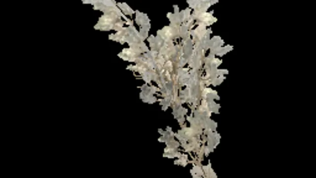 creeping_tree_conifer_a