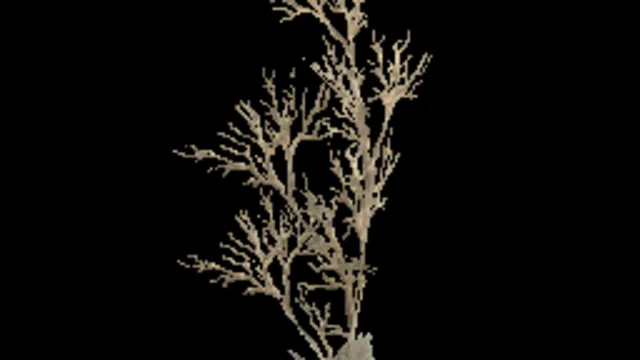 creeping_tree_g