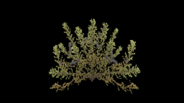 Crowberry B