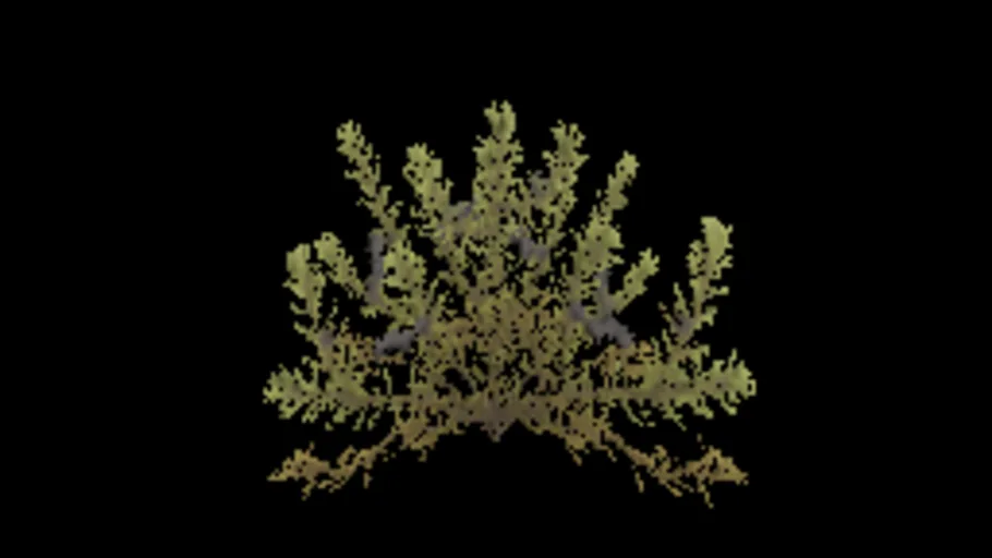 Crowberry B