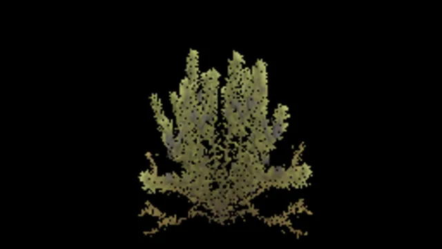 Crowberry C