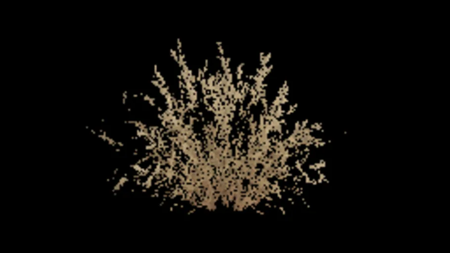 Desert Grass B