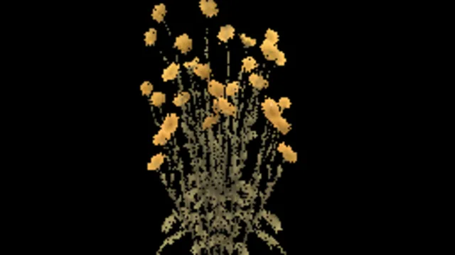 Desert Marigold B