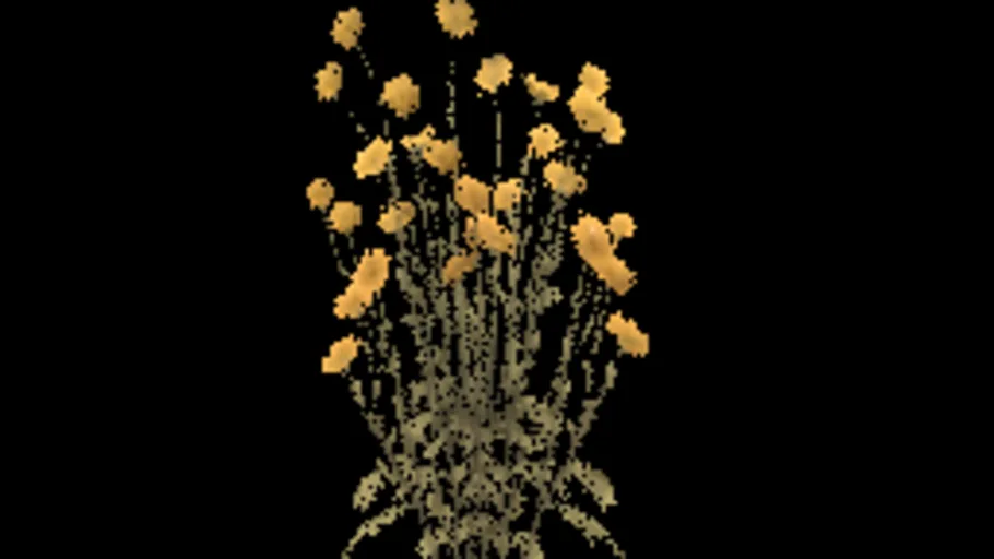 Desert Marigold B