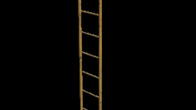 ladder_300_top