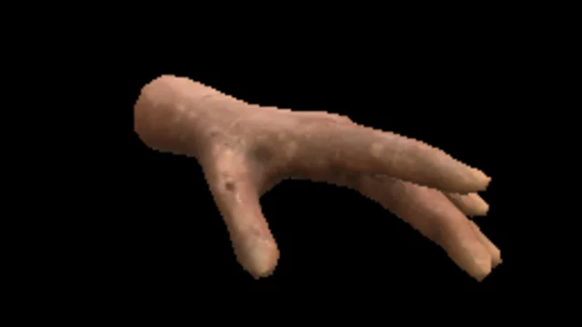Mannequinfemalehand