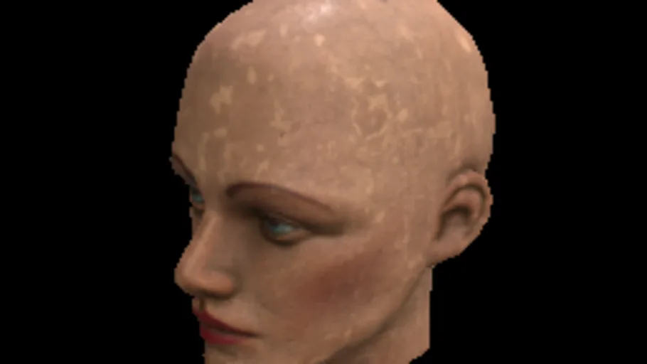 Mannequinfemalehead B