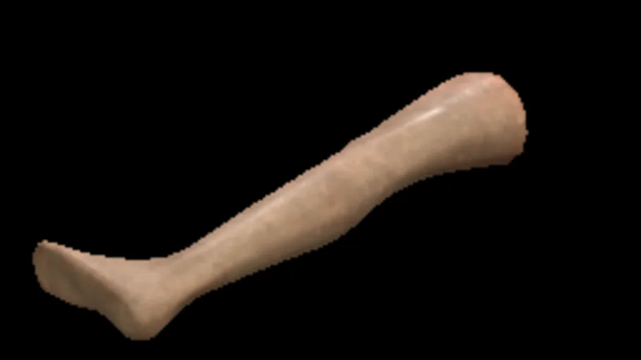 Mannequinfemaleleg L