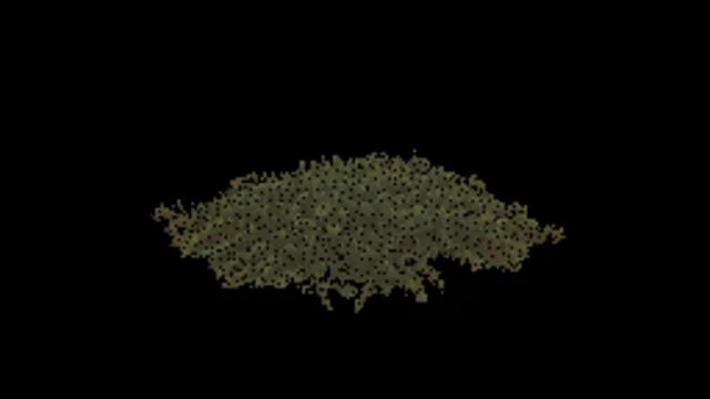 Moss A