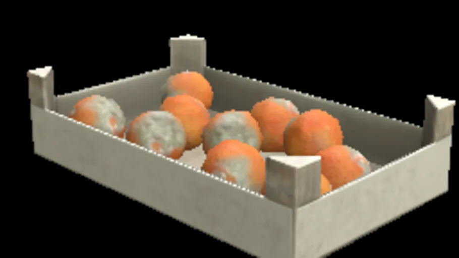 orange_tray