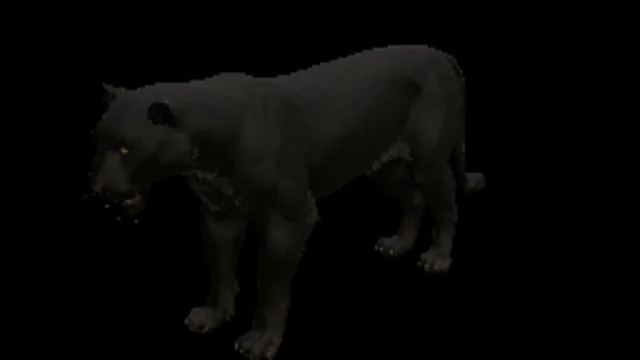 Panther
