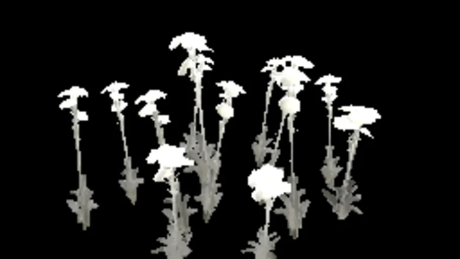 patch_flowers_b
