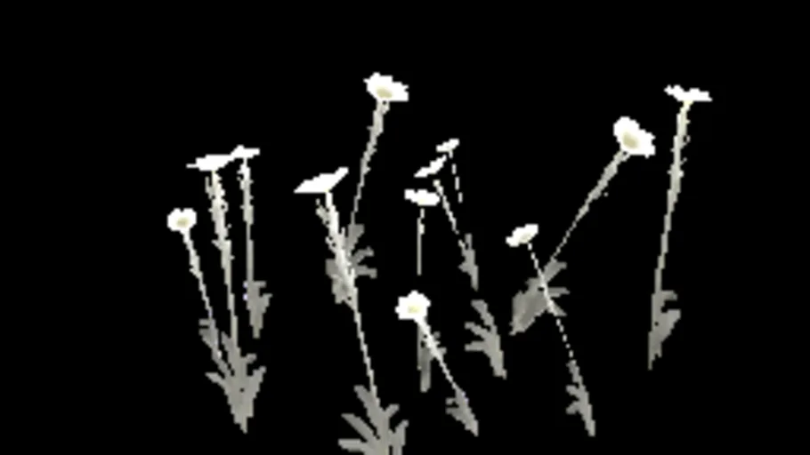 patch_flowers_c