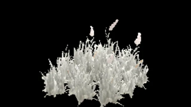 patch_grass_medium