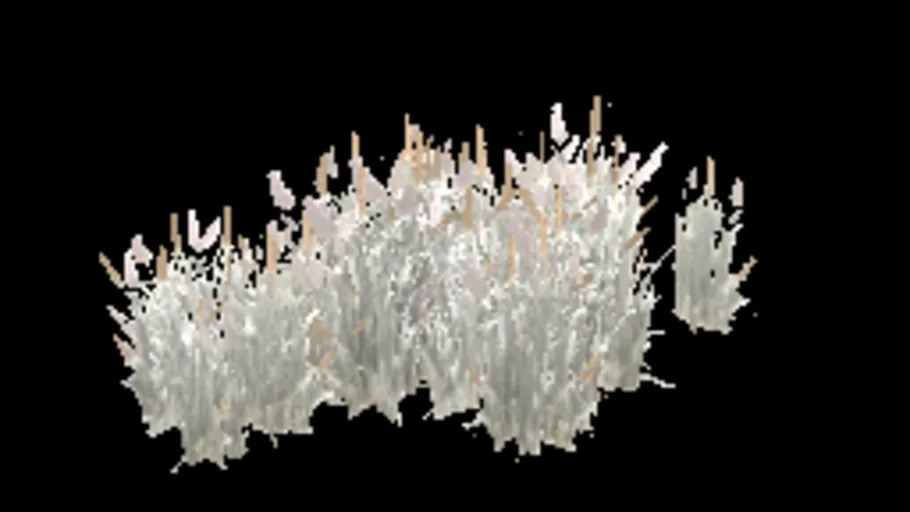 patch_grass_tall_large