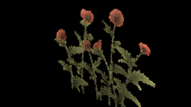 Poppy A