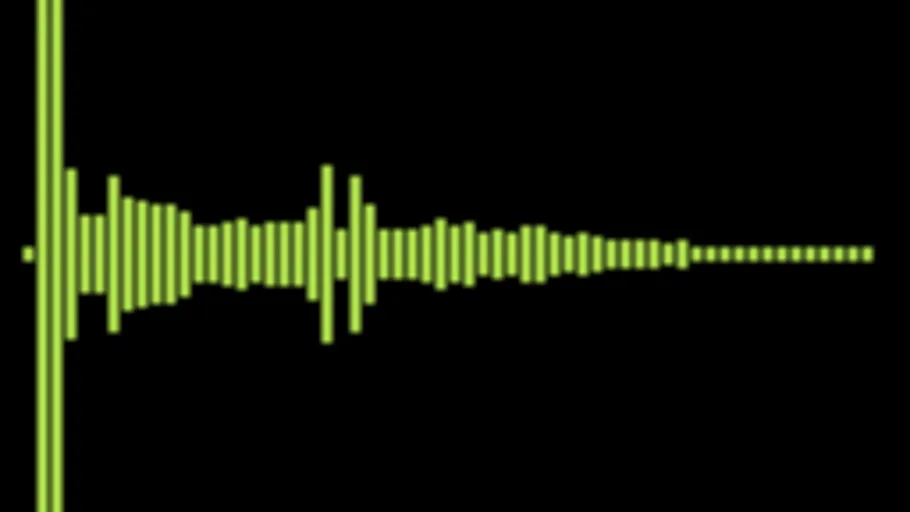 Python Gunshot Body Distant 01
