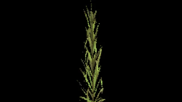 reed_medium