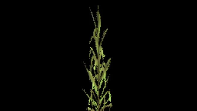 reed_small