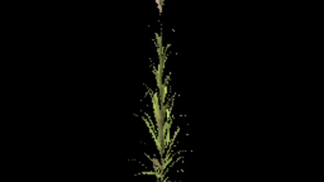 reed_tall_blossom