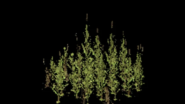 reeds_small