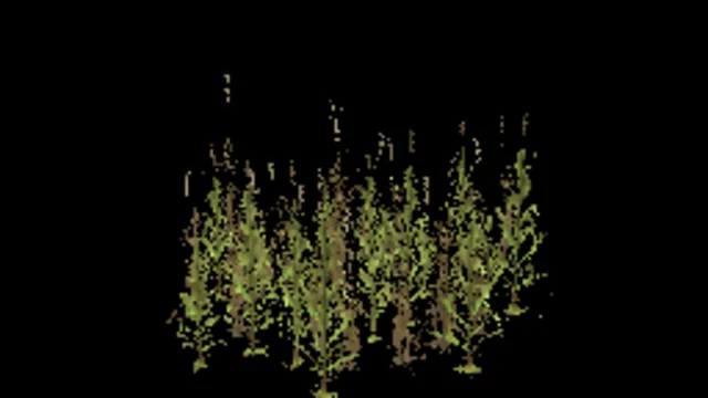 reeds_small_dry