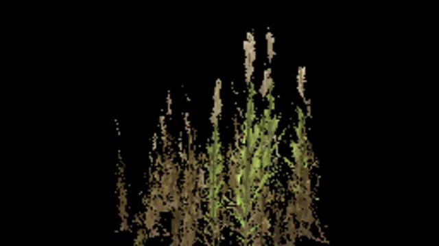 reeds_tall_dry