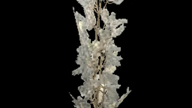 sapling_conifer_large