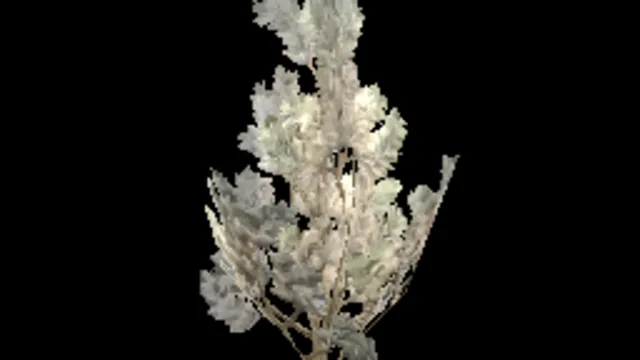 sapling_conifer_small