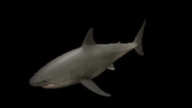 Shark