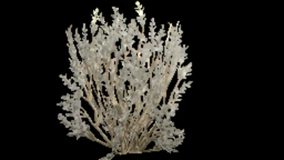 shrub_sparse