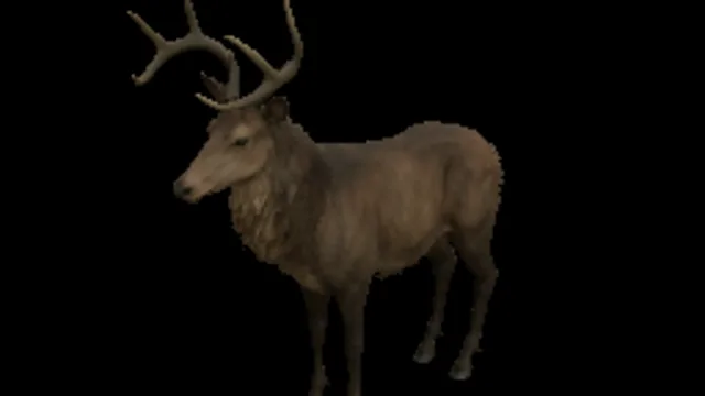 Stag