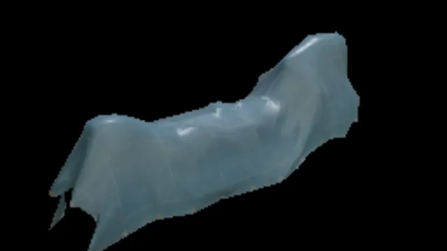 Tarp Ch 47