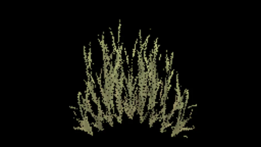 Temperate Grass B