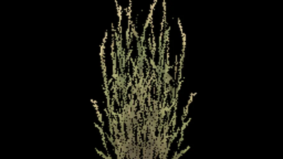 Temperate Grass E