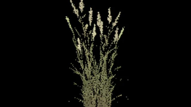 Temperate Grass F