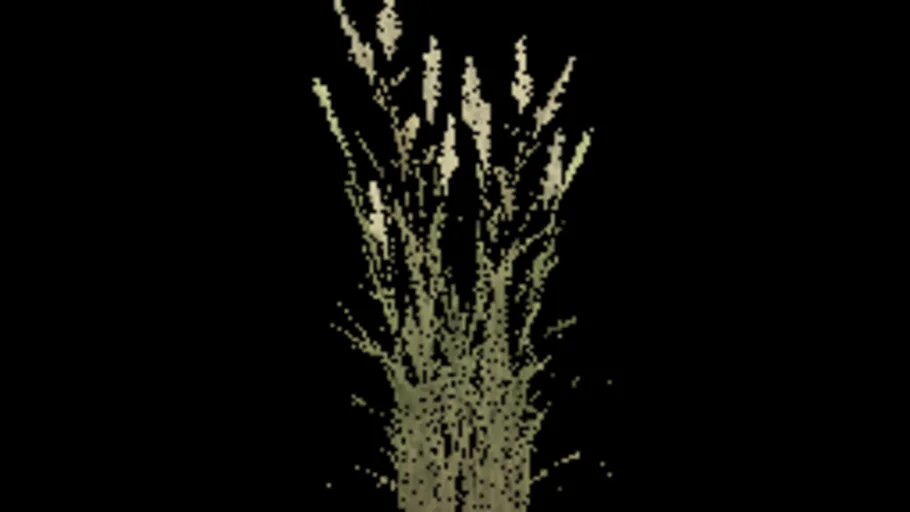 Temperate Grass F