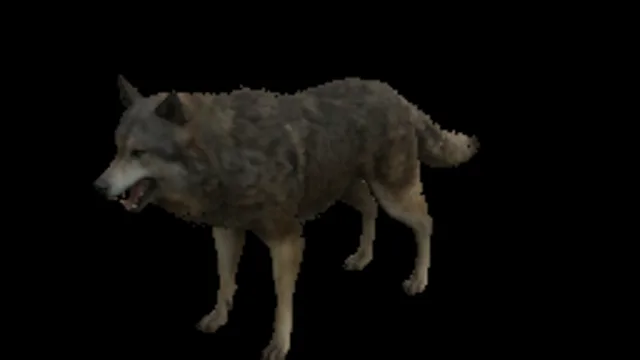 Wolf