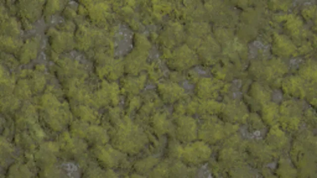 Moss