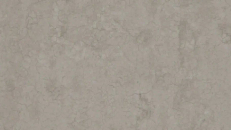 Plaster D