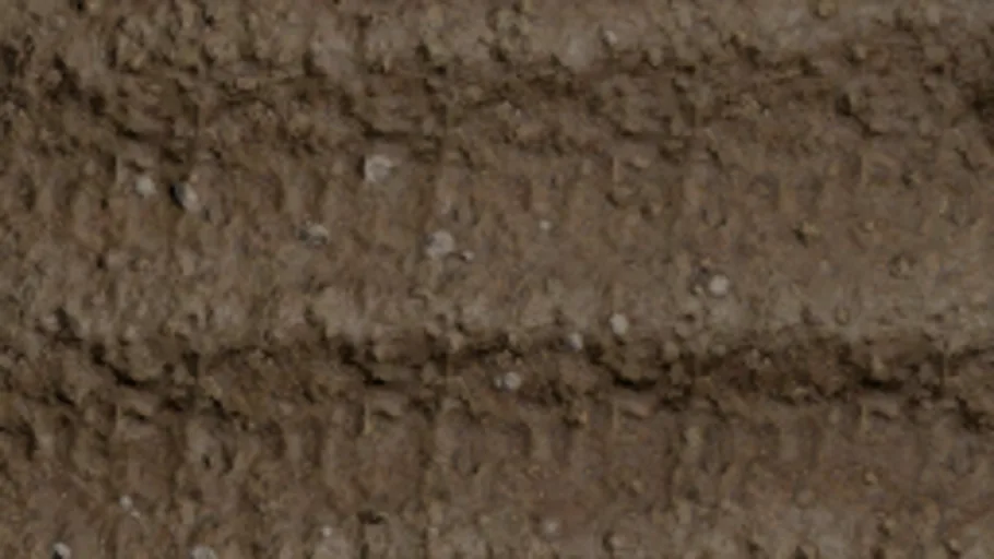 Plowed Soil