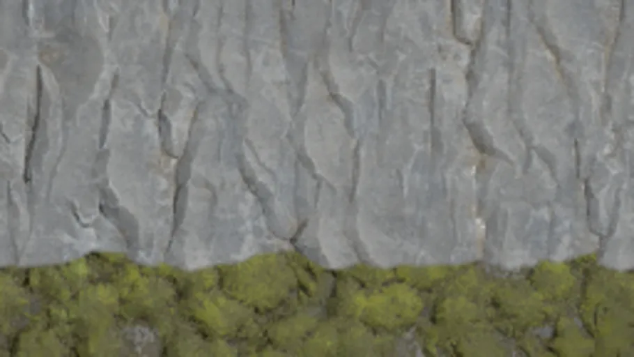 Rock with Moss blend