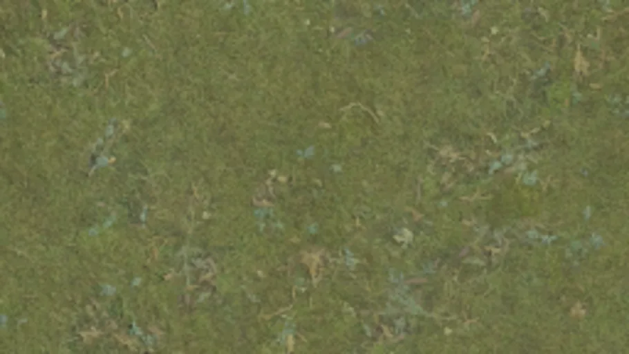 Terrain Grass