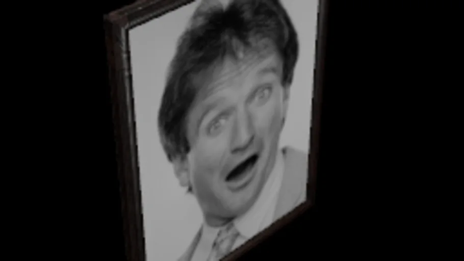 Framed Robin