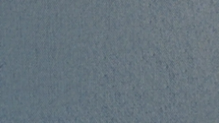 Fabric 077